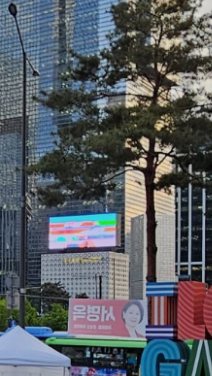 고층 빌딩 사이로 가지를 뻗은 소나무